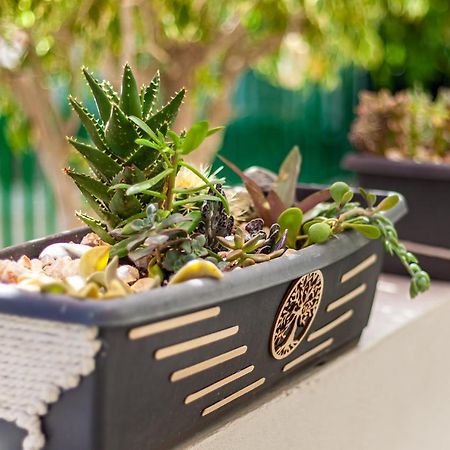 马斯帕洛马斯Cactus公寓 外观 照片