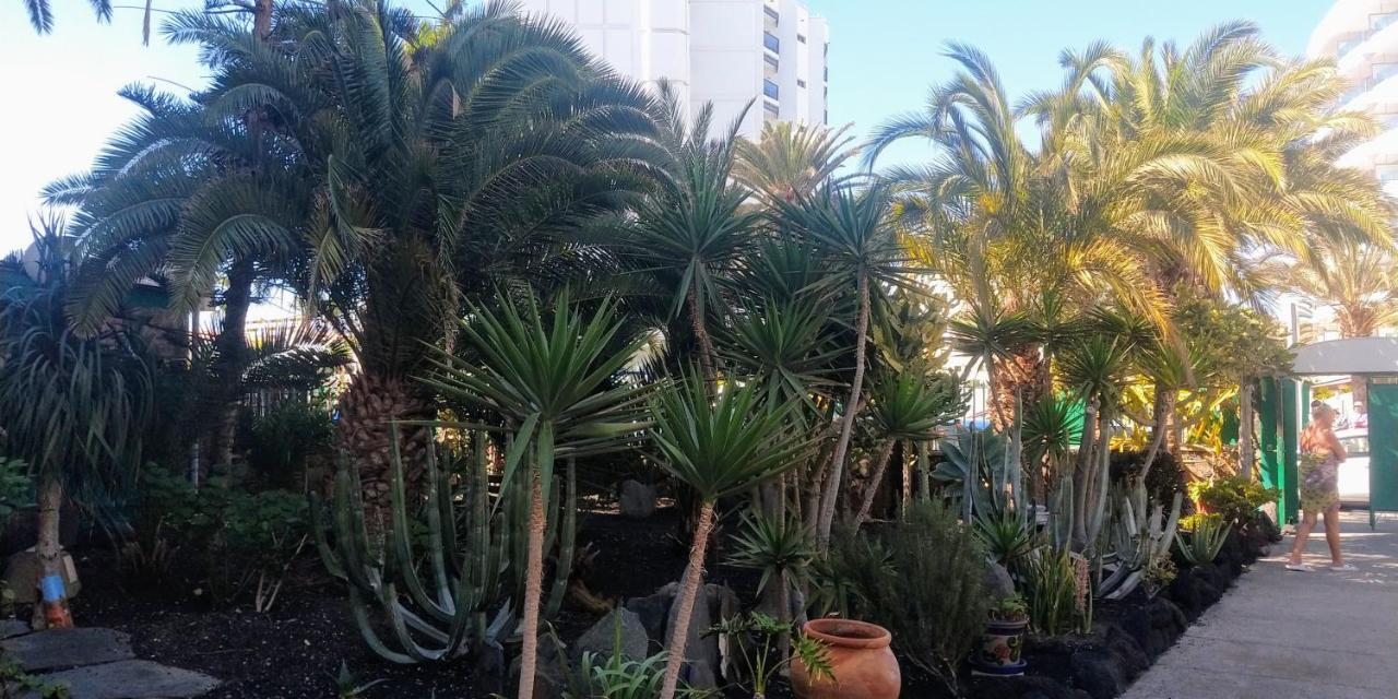 马斯帕洛马斯Cactus公寓 外观 照片