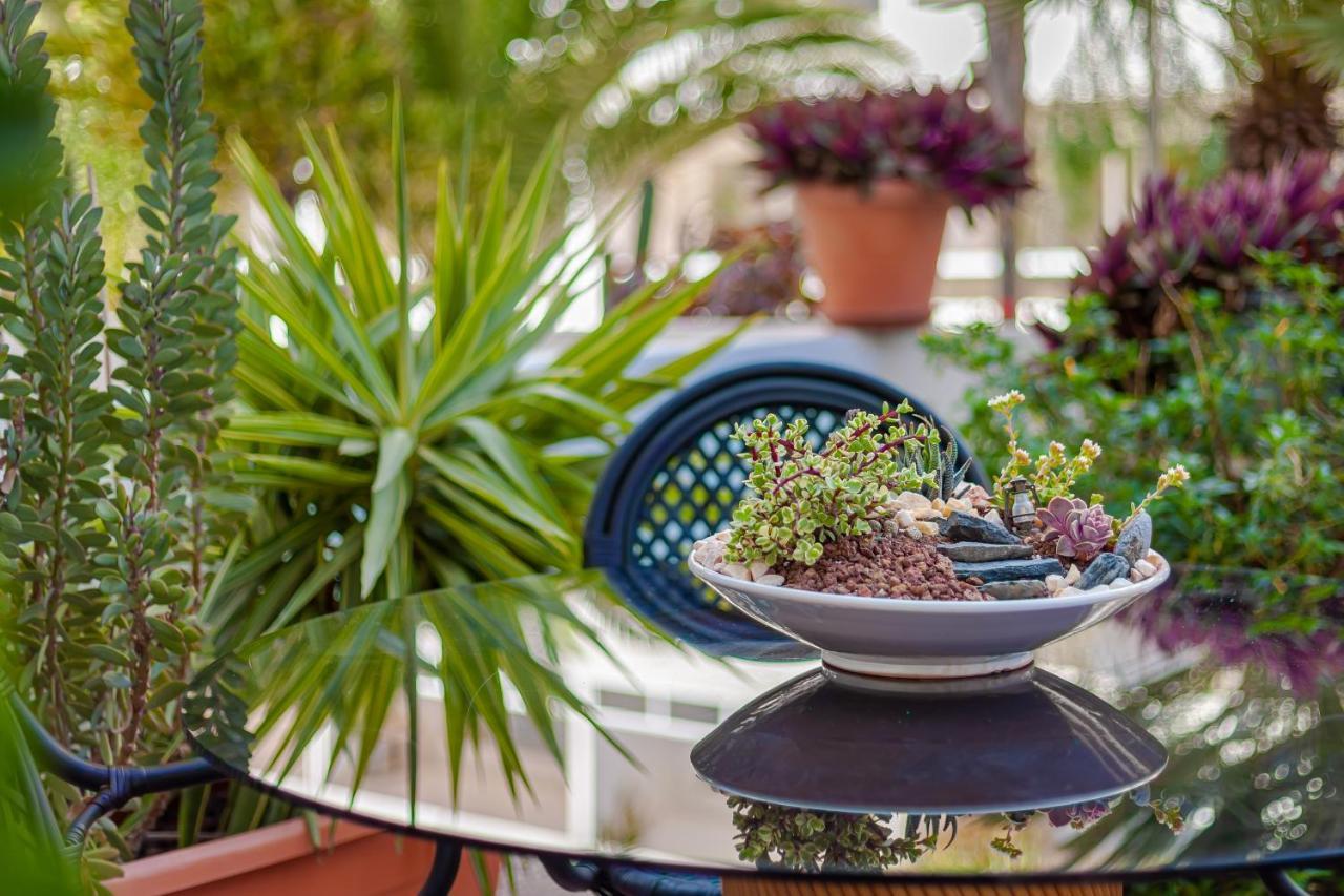 马斯帕洛马斯Cactus公寓 外观 照片